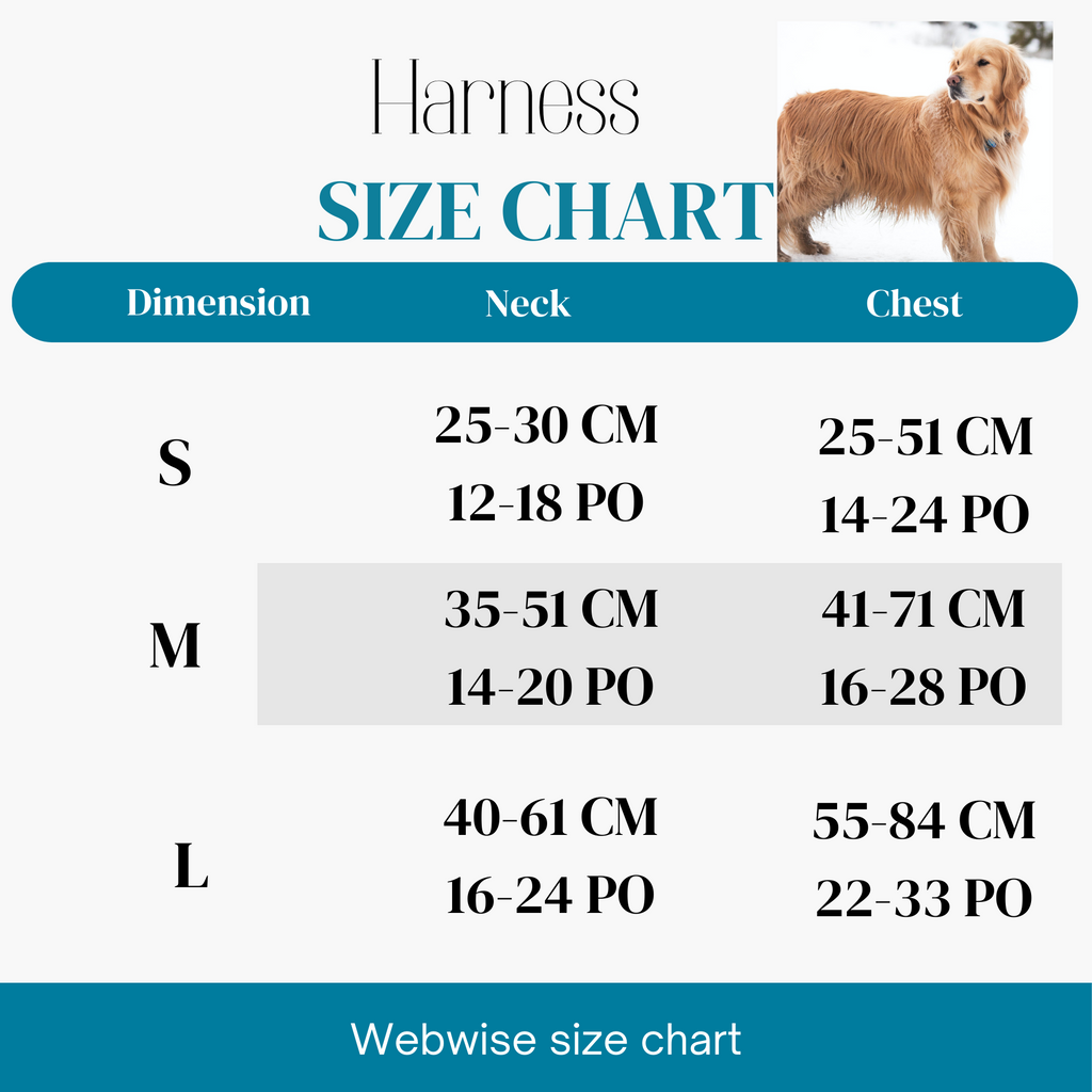 HARNAIS POUR CHIEN GRAND & ANTI-TRACTION – CONFORT MAXIMUM & CONTRÔLE TOTAL